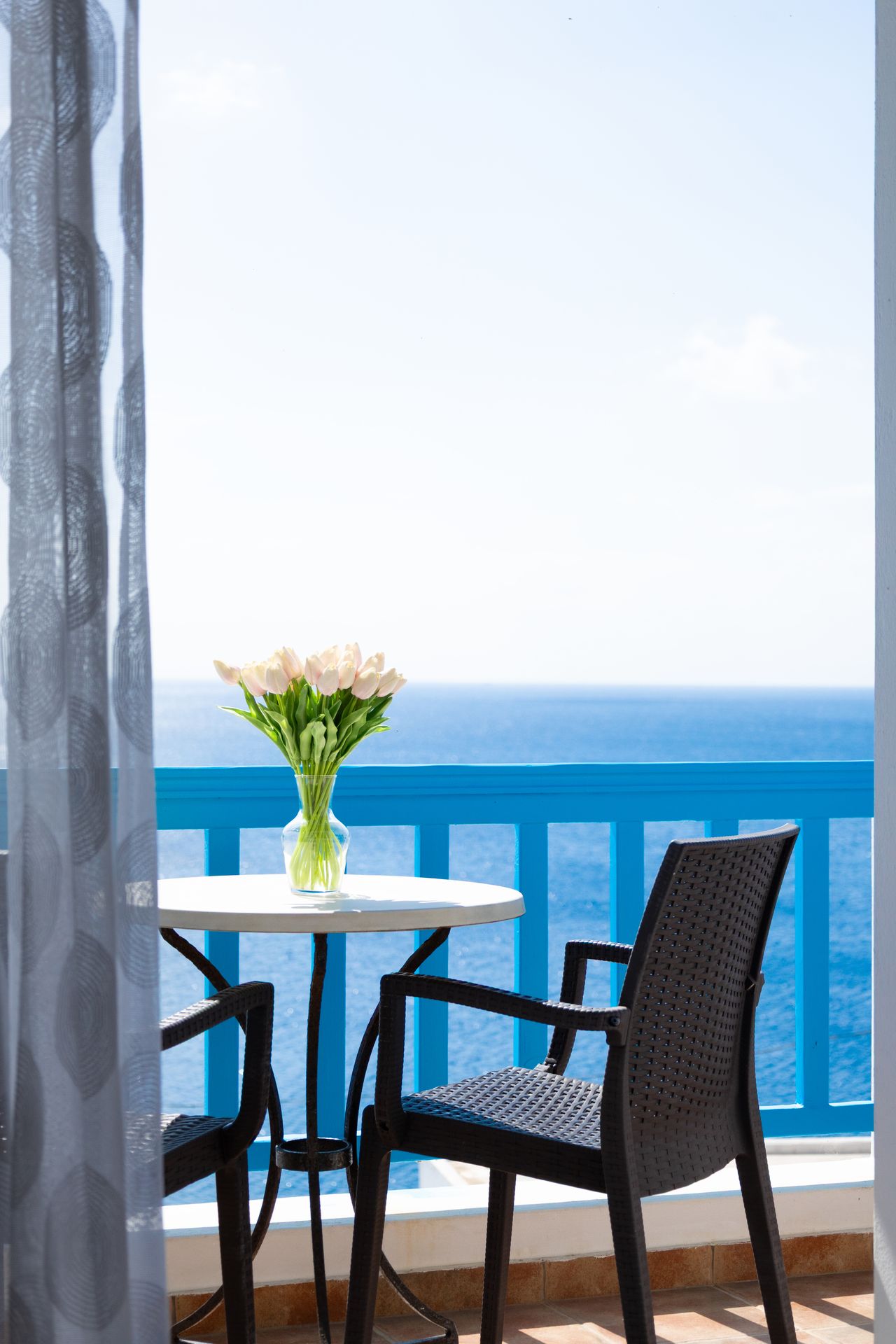 Triple Studio Garden View